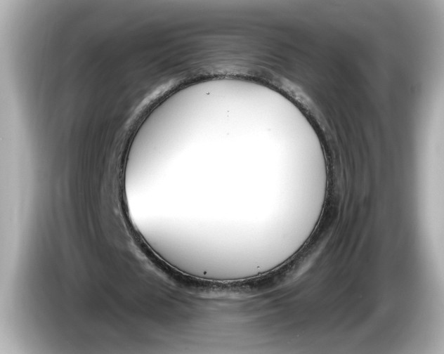 X0000086000625200704091038