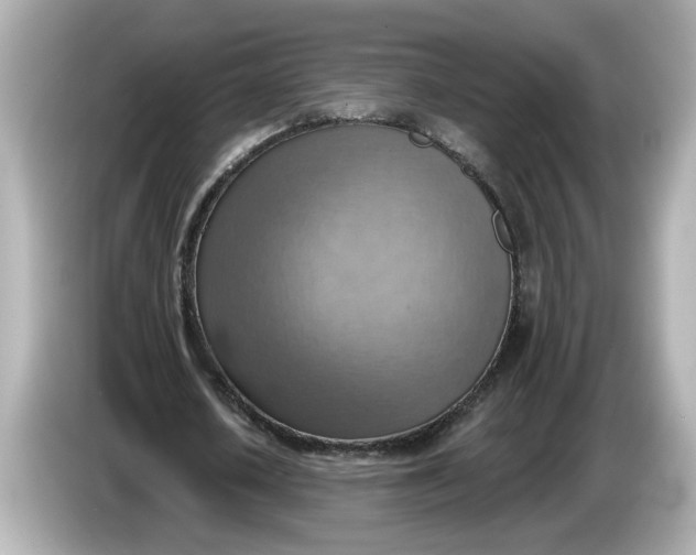 X0000086000626200704091038