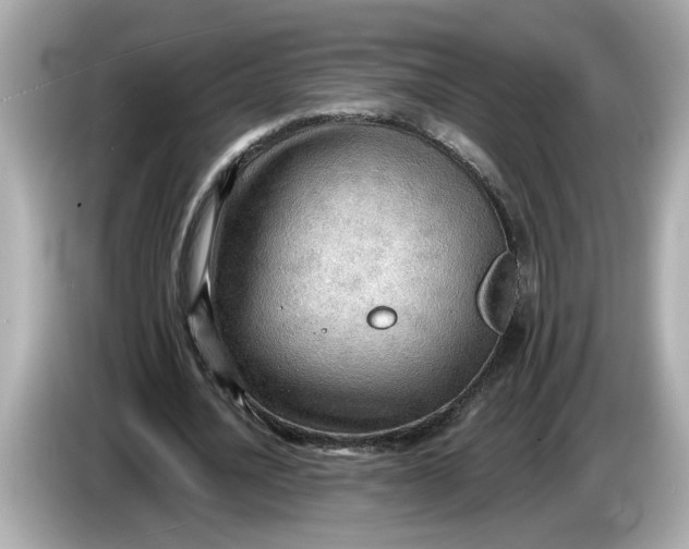 X0000086000628200704091038