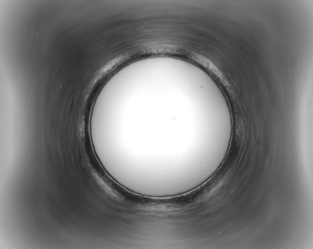 X0000086000629200704091038