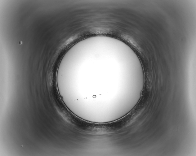 X0000086000631200704091038