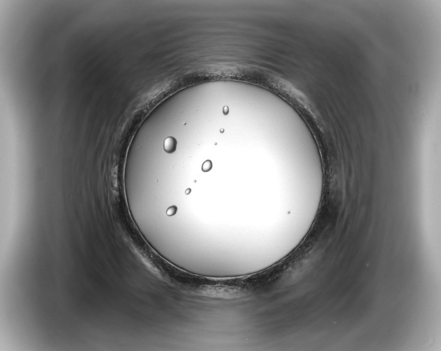 X0000086000633200704091038