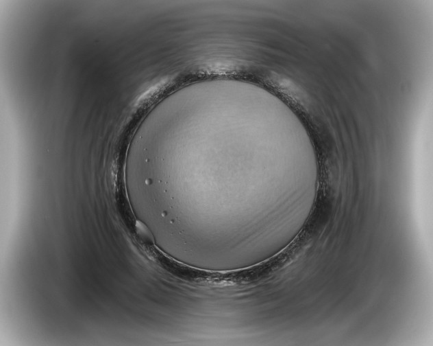 X0000086000640200704091038