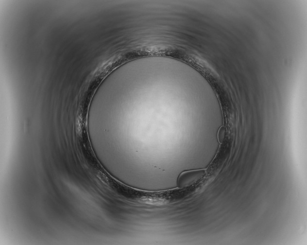 X0000086000644200704091038