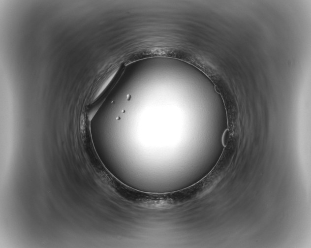 X0000086000646200704091038