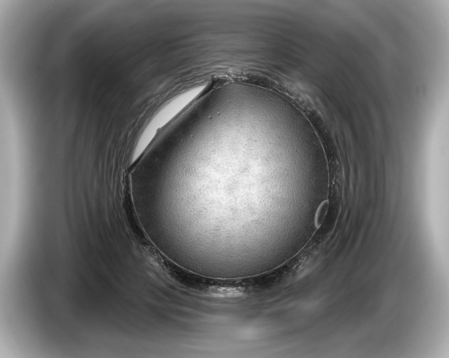 X0000086000649200704091038