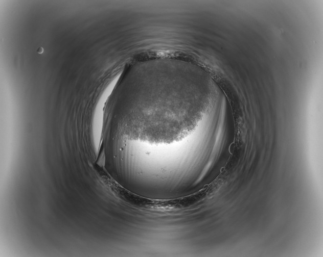 X0000086000650200704091038