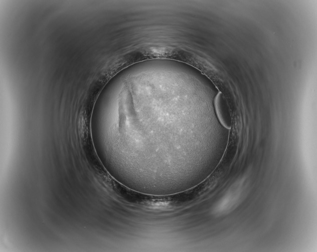 X0000086000651200704091038