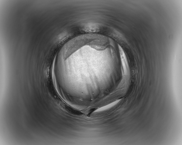 X0000086000652200704091038