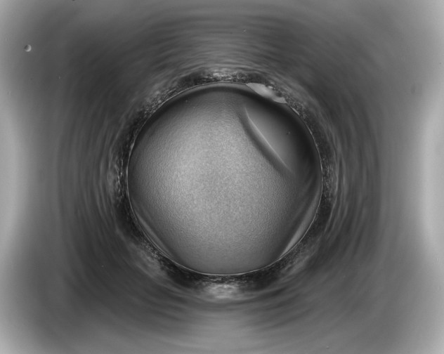 X0000086000653200704091038