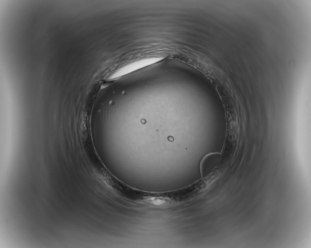 X0000086000654200704091038