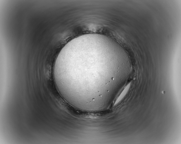 X0000086000656200704091038