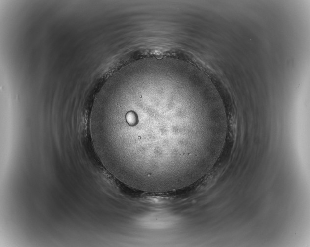 X0000086000657200704091038