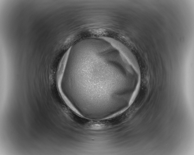 X0000086000658200704091038