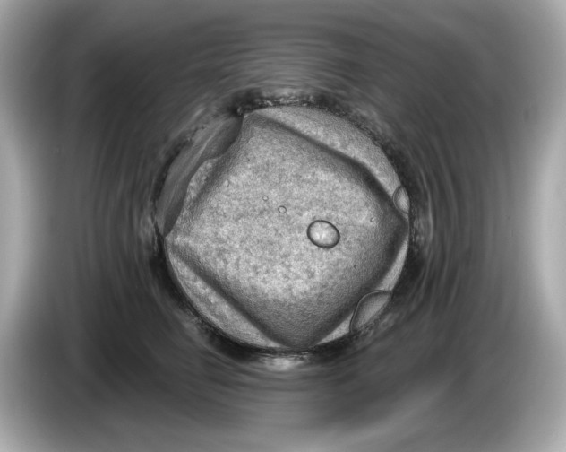 X0000086000662200704091038