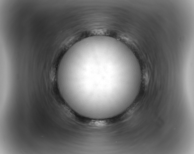 X0000086000665200704091038