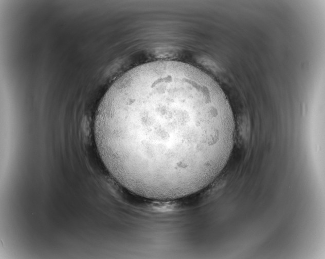 X0000086000667200704091038