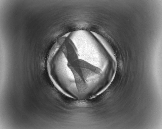 X0000086000668200704091038