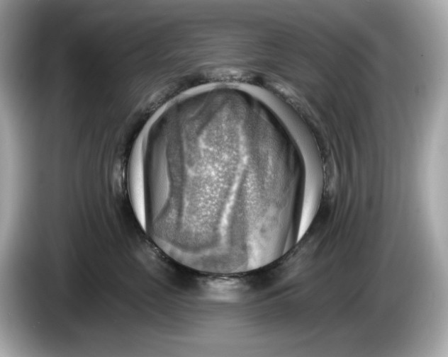 X0000086000669200704091038