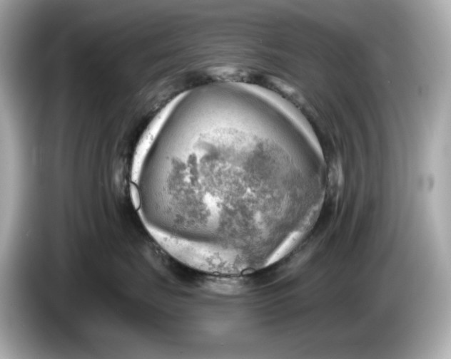 X0000086000671200704091038