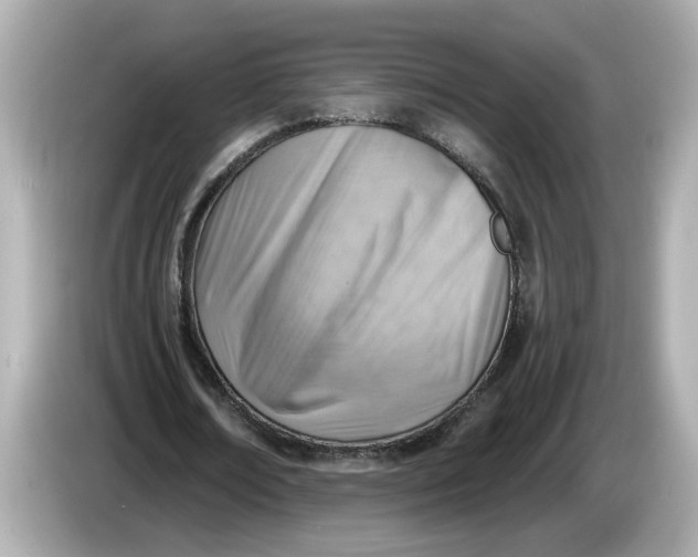 X0000086000674200704091038