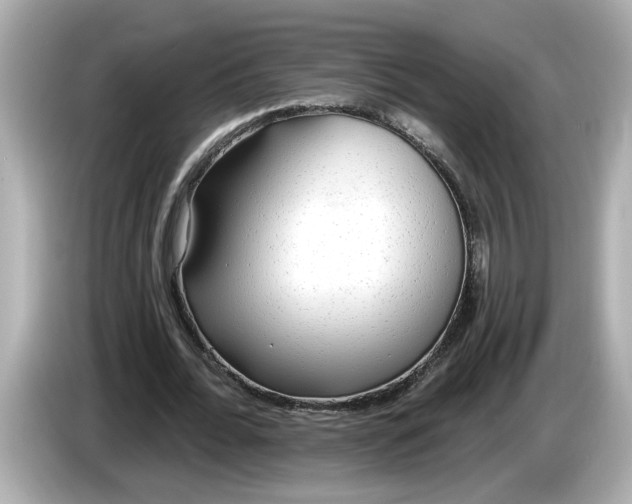 X0000086000676200704091038