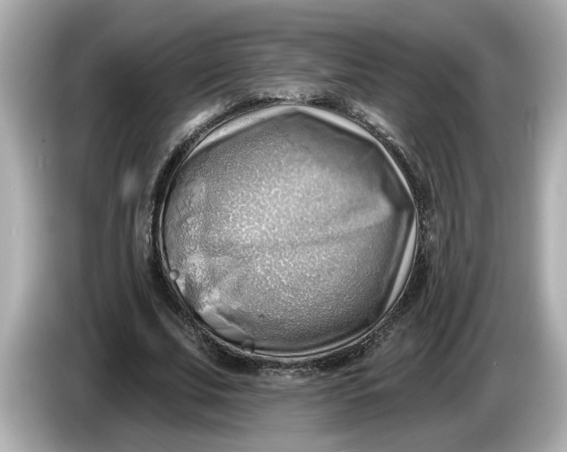 X0000086000679200704091038