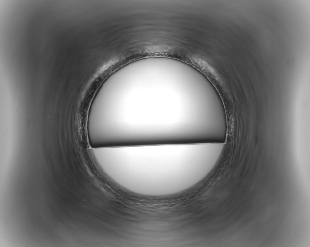 X0000086000684200704091038