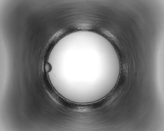 X0000086000686200704091038