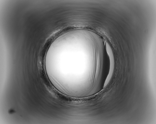 X0000086000688200704091038