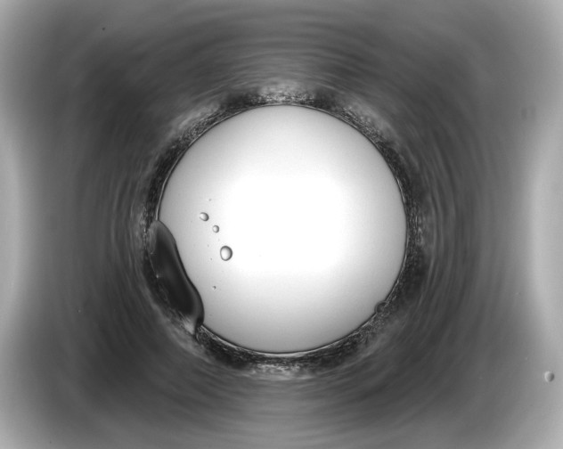 X0000086000690200704091038