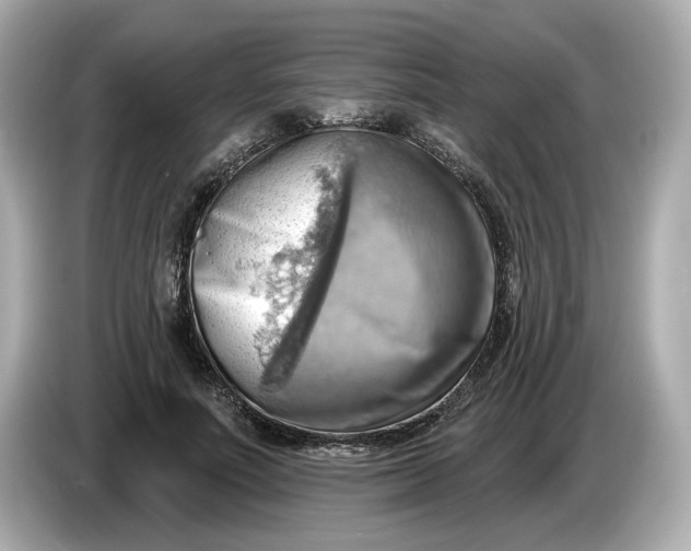 X0000086000691200704091038