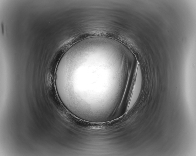 X0000086000692200704091038