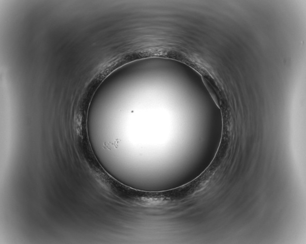 X0000086000693200704091038