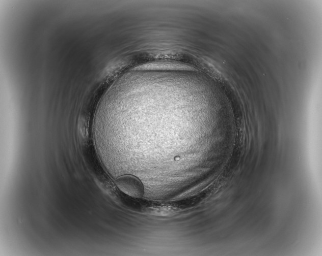 X0000086000695200704091038