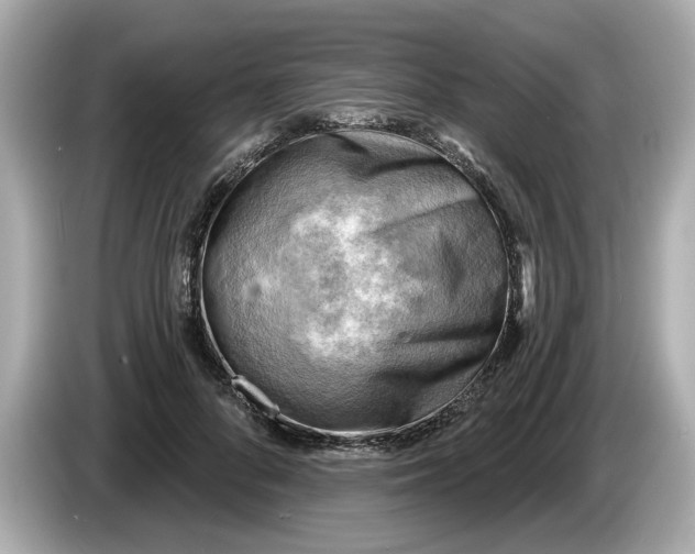 X0000086000696200704091038