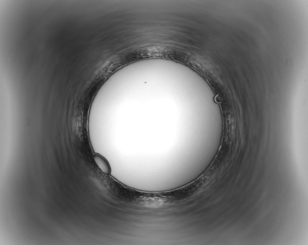 X0000086000698200704091038