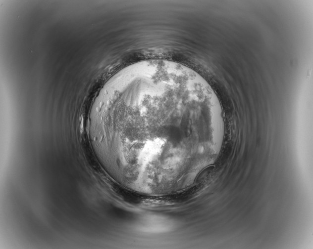 X0000086000699200704091038