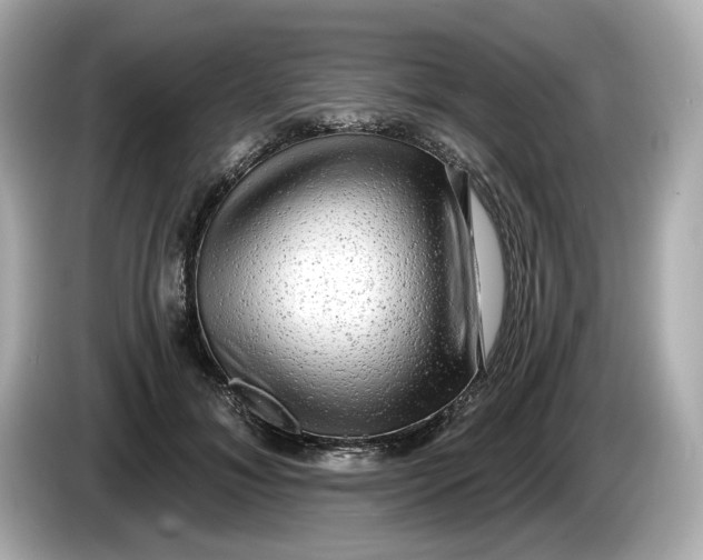 X0000086000700200704091037