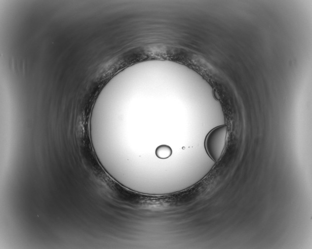 X0000086000702200704091037