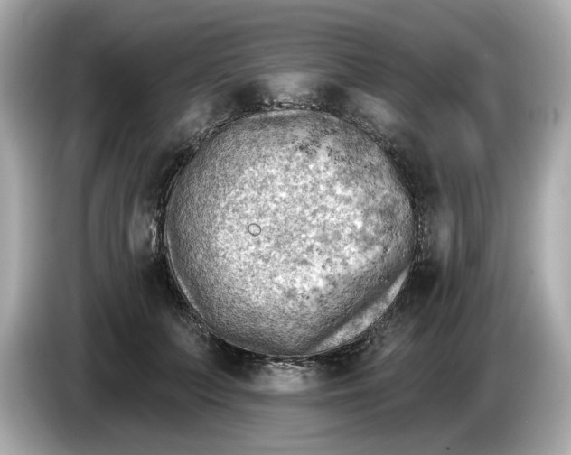 X0000086000703200704091037