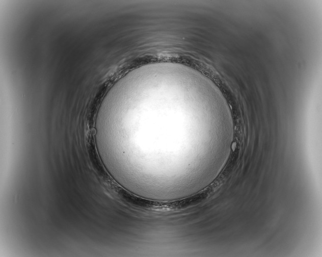 X0000086000704200704091037