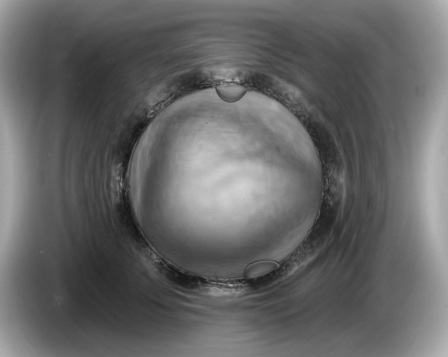 X0000086000707200704091037