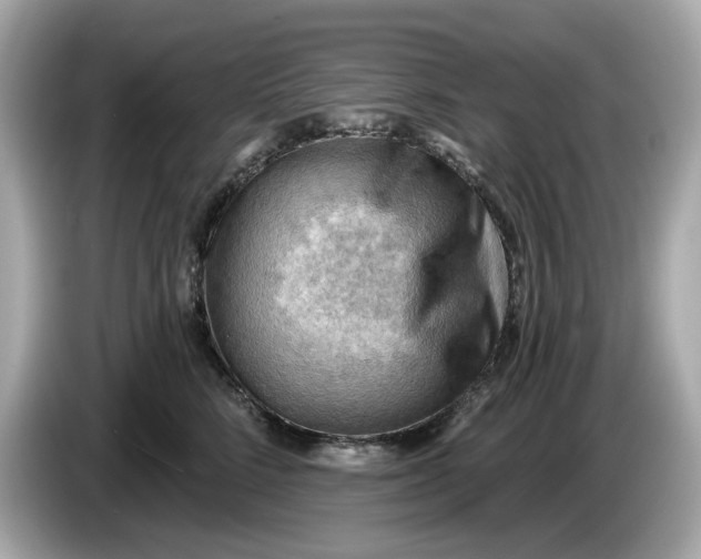 X0000086000712200704091037