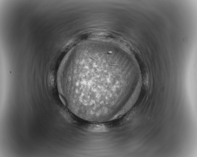 X0000086000715200704091037