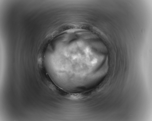 X0000086000720200704091037