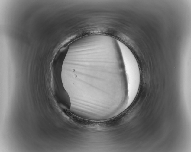 X0000086000721200704091037