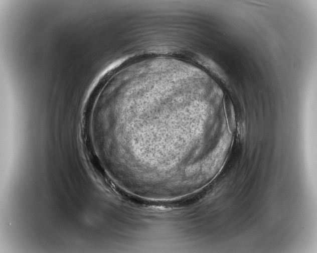 X0000086000724200704091037