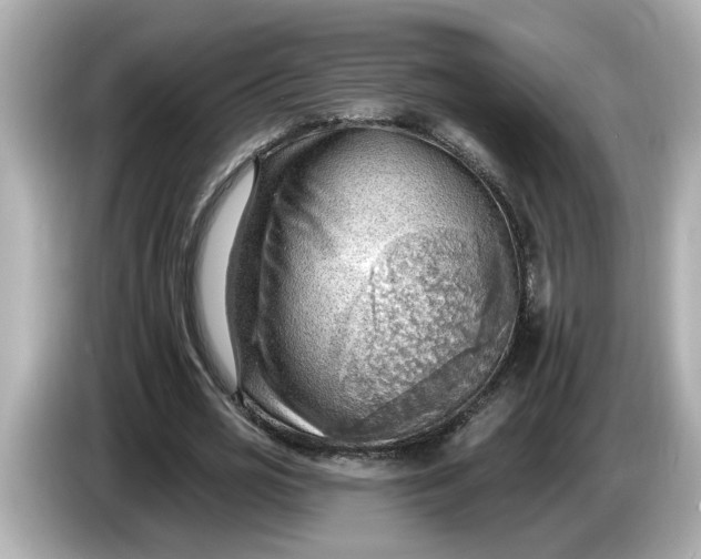 X0000086000725200704091037