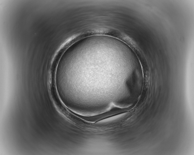 X0000086000726200704091037